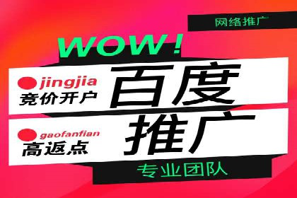 谷歌竞价广告的投放策略与成功案例分析